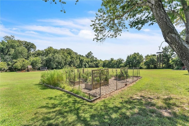384 Whitcliff Dr, Cave Springs, AR 72718 - photo 5