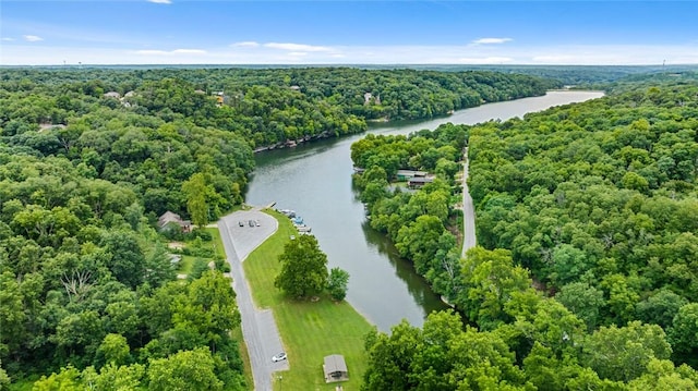10 Windermere Ln, Bella Vista, AR 72714 - photo 43