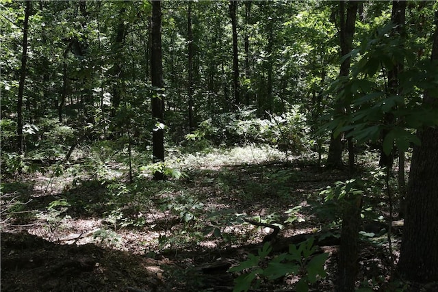 LOT11, BLOCK2 Kettering Ln, Bella Vista, AR 72714 - photo 1