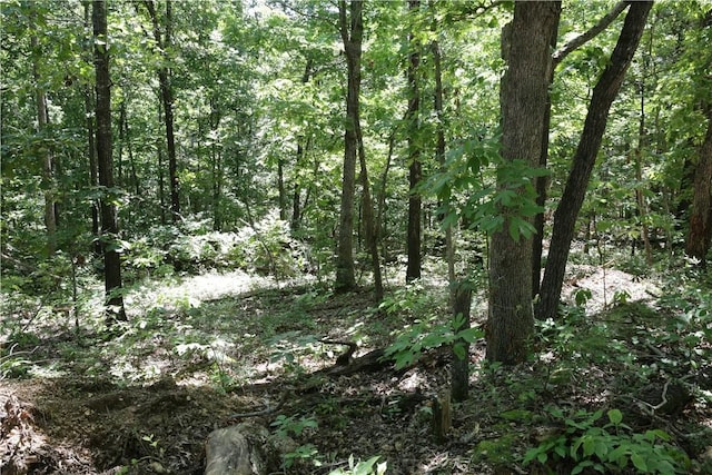 LOT11, BLOCK2 Kettering Ln, Bella Vista, AR 72714 - photo 2