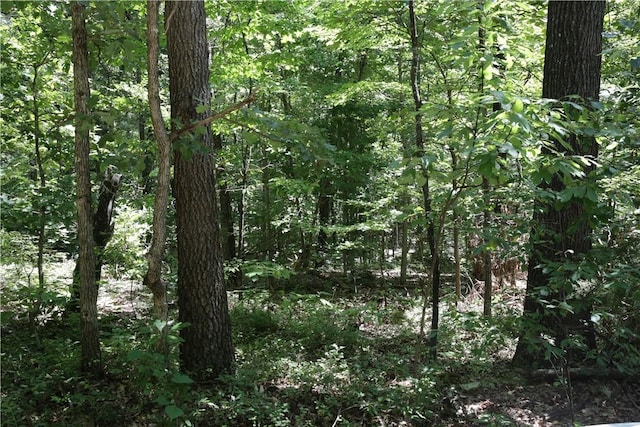 LOT11, BLOCK2 Kettering Ln, Bella Vista, AR 72714 - photo 3