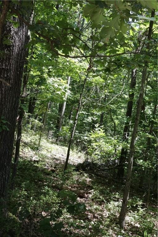 LOT11, BLOCK2 Kettering Ln, Bella Vista, AR 72714 - photo 4