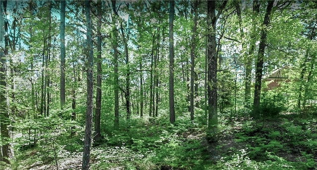 LOT4 Leafield Ln, Bella Vista, AR 72714 - photo 1