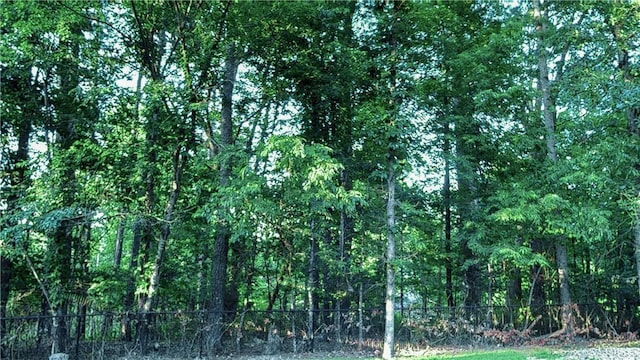 LOT4 Leafield Ln, Bella Vista, AR 72714 - photo 2