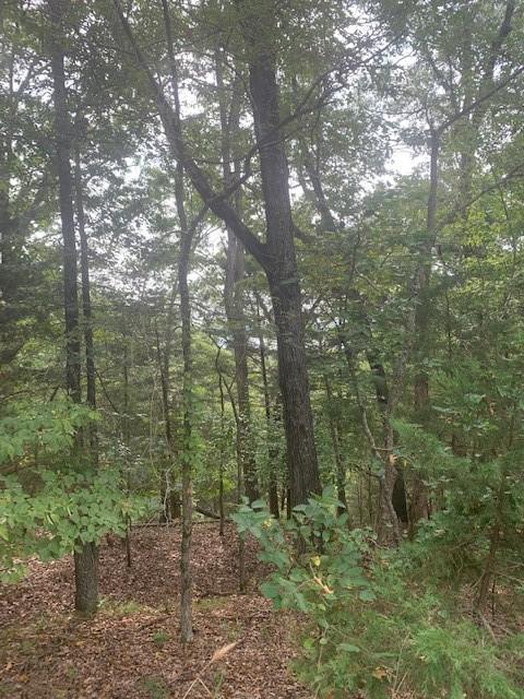 32.87ACRES Slate Gap Rd, Garfield, AR 72732
