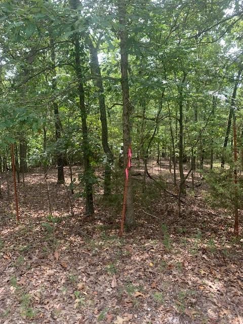 32.87ACRES Slate Gap Rd, Garfield, AR 72732