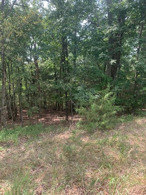 32.87ACRES Slate Gap Rd, Garfield, AR 72732