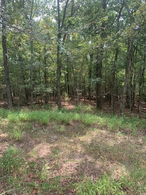 32.87ACRES Slate Gap Rd, Garfield, AR 72732