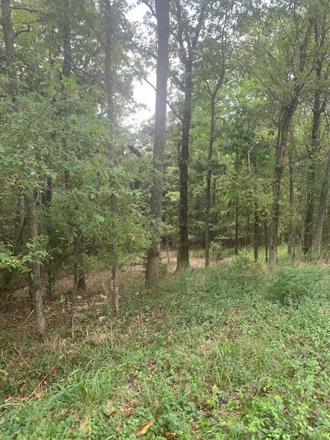 32.87ACRES Slate Gap Rd, Garfield, AR 72732