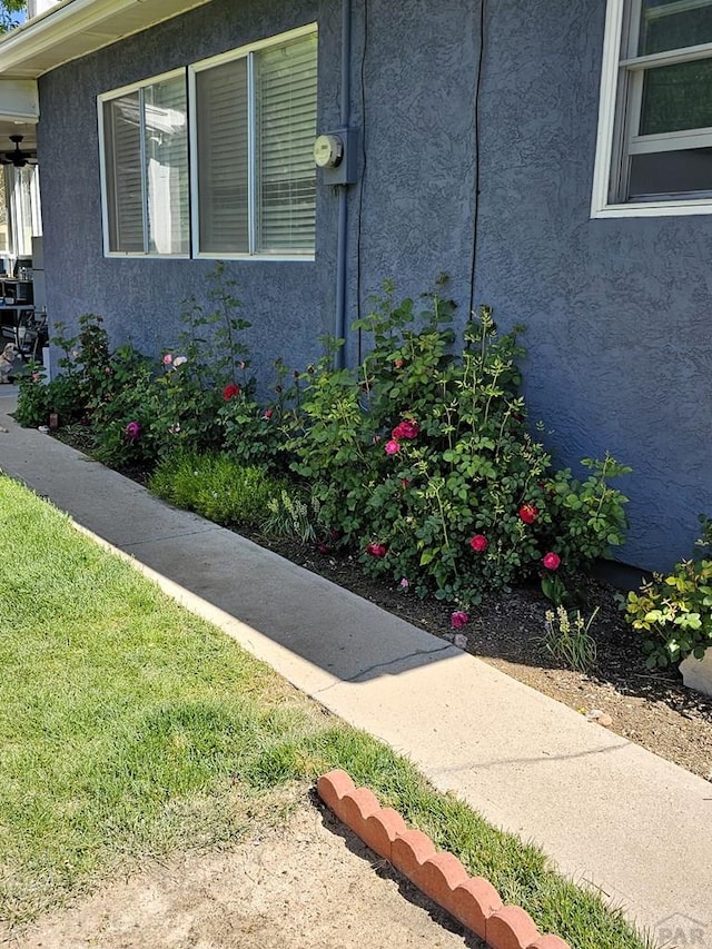 view of home's exterior with stucco siding