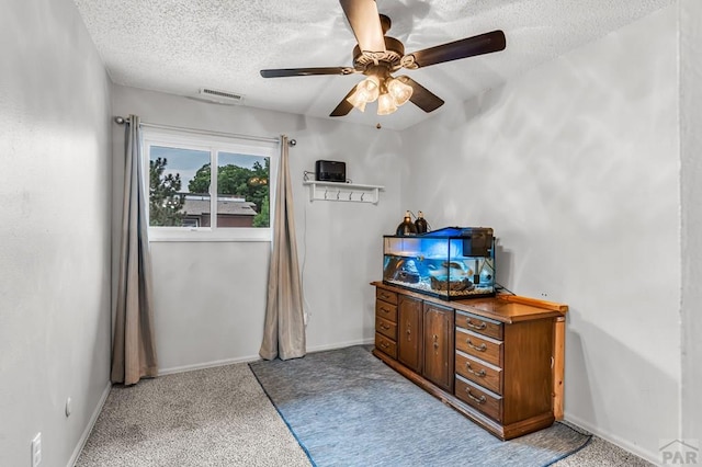 130 Scotland Rd Unit D, Pueblo, CO 81001 - photo 14