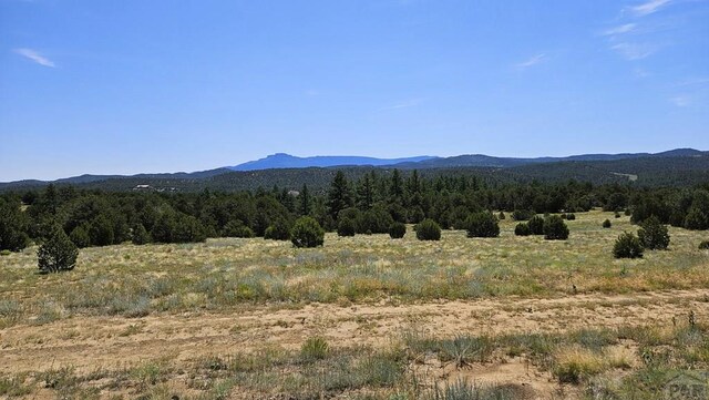 Listing photo 2 for 29780 County Rd 16, Trinidad CO 81082