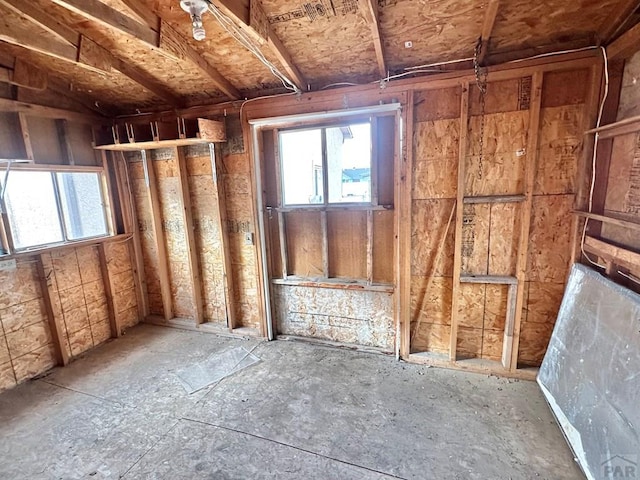 miscellaneous room featuring a healthy amount of sunlight