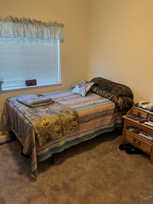 4706 Solar Dr, Pueblo, CO 81005 - bedroom with carpet floors