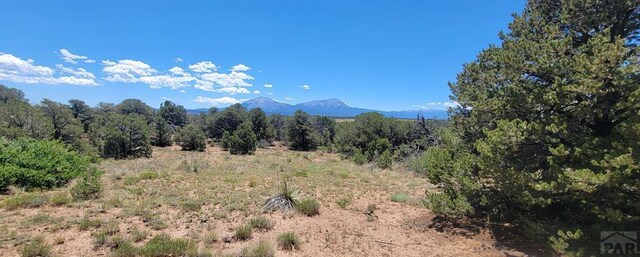 Listing photo 2 for LOT110 Chickasaw Dr, Walsenburg CO 81089