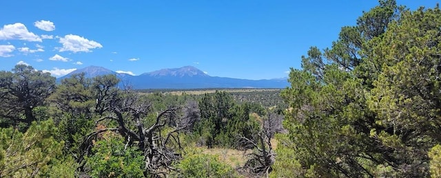 LOT110 Chickasaw Dr, Walsenburg CO, 81089 land for sale