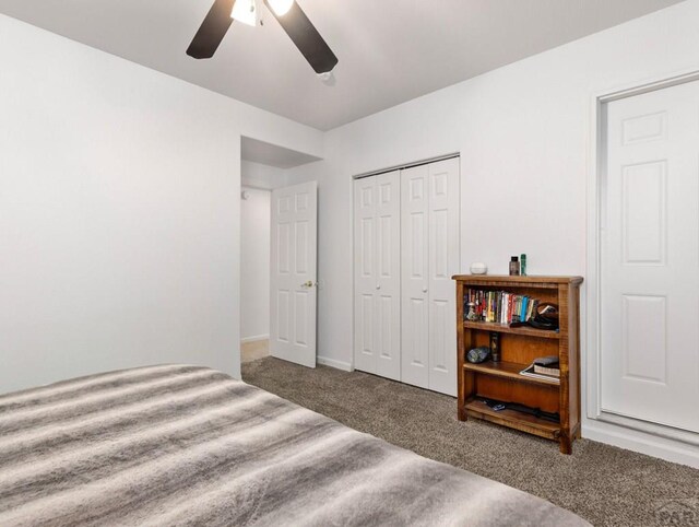 704 S Chimazo Dr, Pueblo West, CO 81007 - photo 34