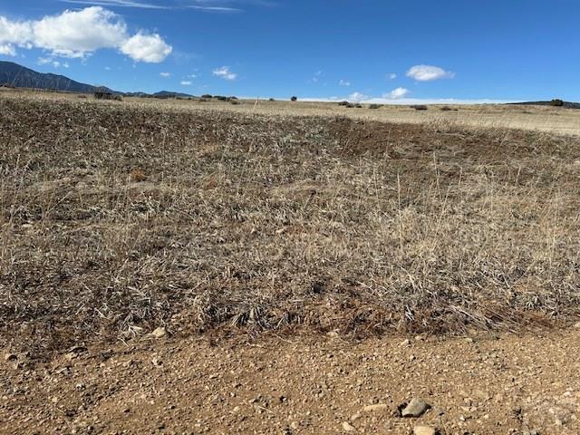 LOT853 Lawrence, Colorado City, CO 81019 - photo 4