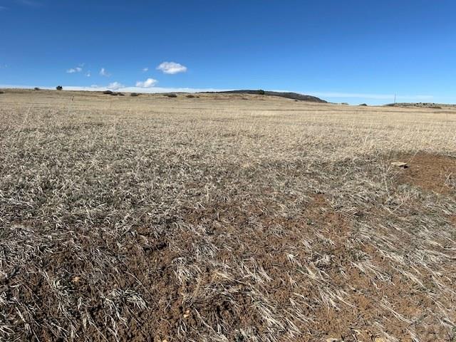 LOT853 Lawrence, Colorado City, CO 81019 - photo 5