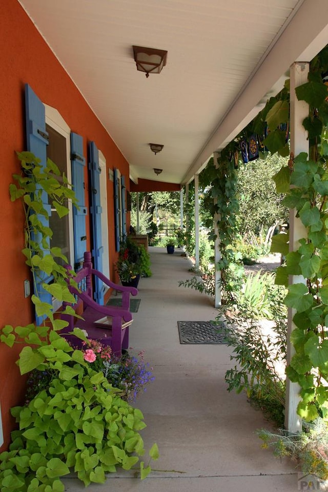 134 E Virginia Ave, La Veta, CO 81055 - view of patio / terrace with a porch
