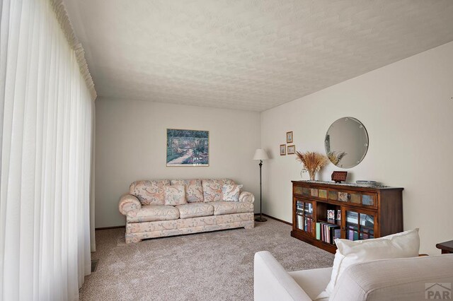 212 Bridle Trl, Pueblo, CO 81005 - photo 9