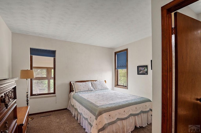 212 Bridle Trl, Pueblo, CO 81005 - photo 21