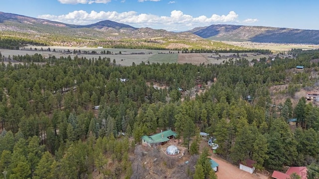 8929 Apache Dr, Beulah, CO 81023 - aerial view of property's location featuring mountains and a forest