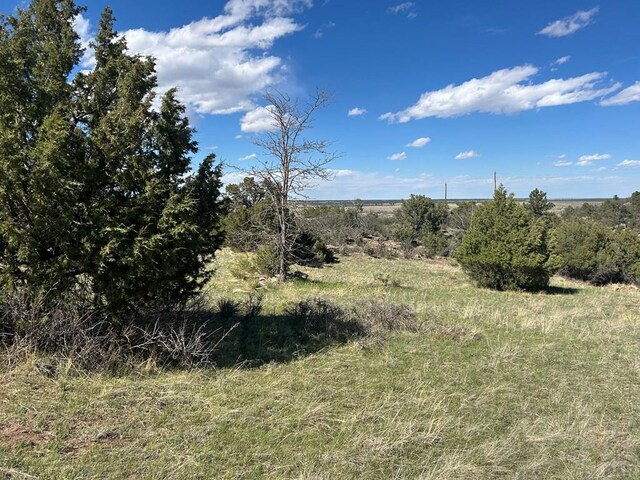 LOT116 Gilpin St, Colorado City, CO 81019 - photo 7