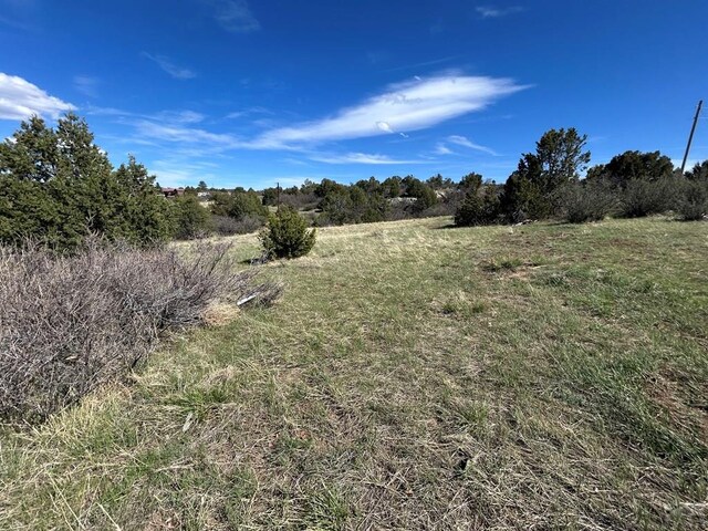 LOT116 Gilpin St, Colorado City, CO 81019 - photo 4