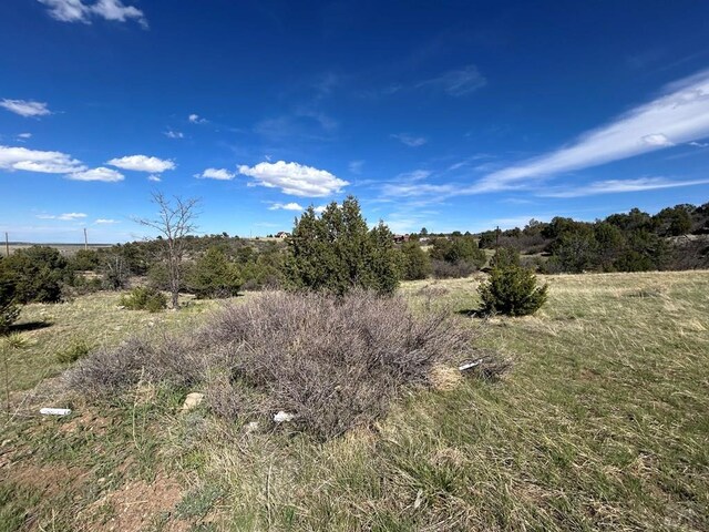 LOT116 Gilpin St, Colorado City, CO 81019 - photo 5