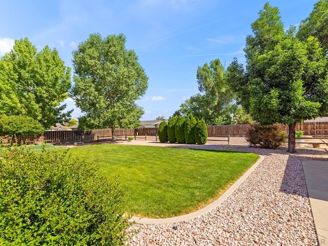 451 W Gateway Dr, Pueblo West, CO 81007 - photo 33