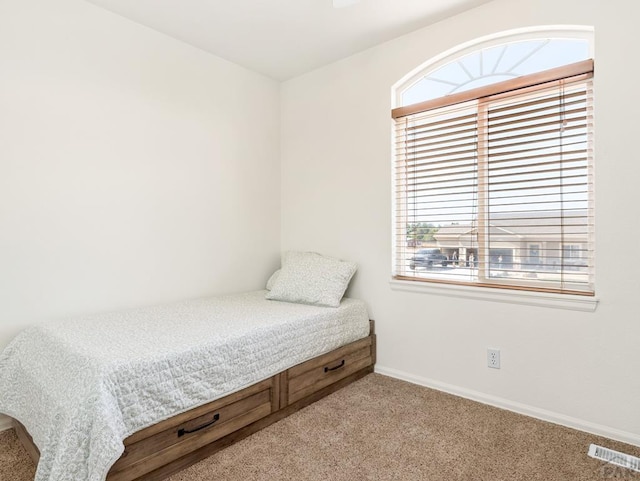 451 W Gateway Dr, Pueblo West, CO 81007 - photo 18
