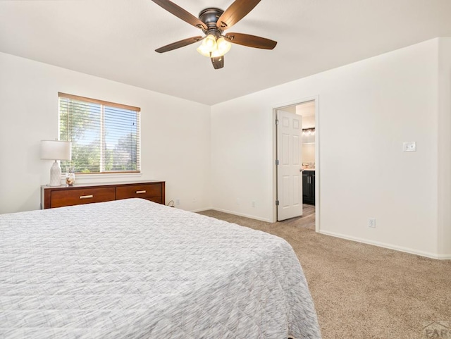 451 W Gateway Dr, Pueblo West, CO 81007 - photo 11