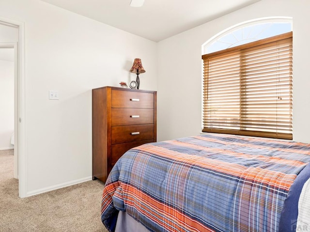 451 W Gateway Dr, Pueblo West, CO 81007 - photo 16