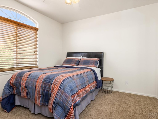 451 W Gateway Dr, Pueblo West, CO 81007 - photo 15