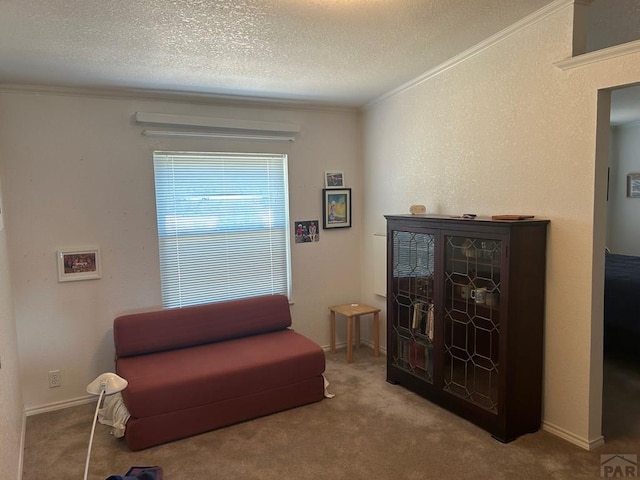 536 Seneca Cir, Walsenburg, CO 81089 - photo 6