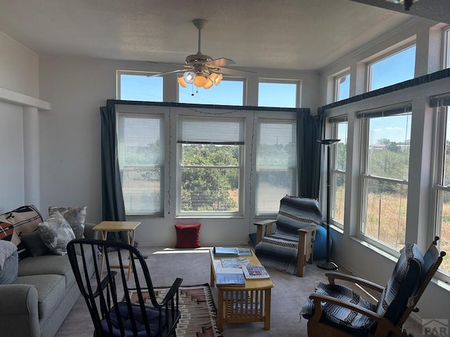 536 Seneca Cir, Walsenburg, CO 81089 - photo 5