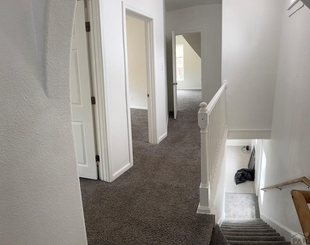1123 E 5th St, Pueblo, CO 81001 - photo 18