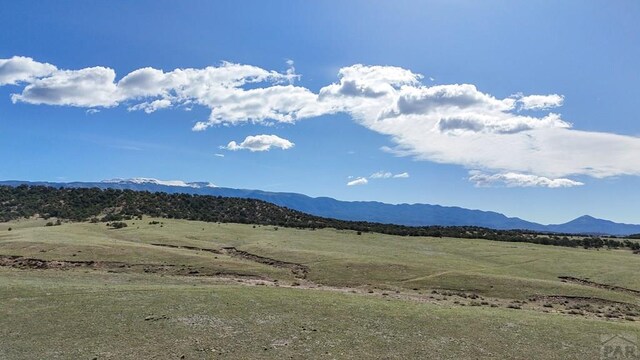 000 County Road 634, Gardner, CO 81040 - photo 5