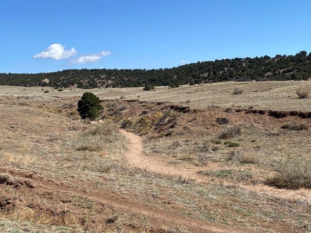 000 County Road 634, Gardner, CO 81040 - photo 18