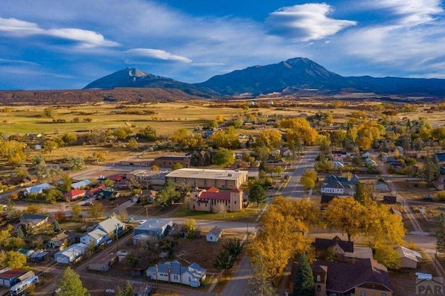 314 S Main St, La Veta, CO 81055 - aerial view with a residential view and a mountain view