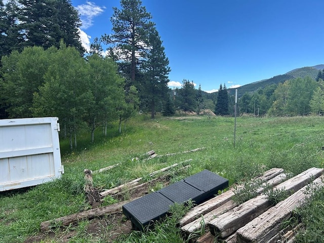 view of yard featuring a mountain view