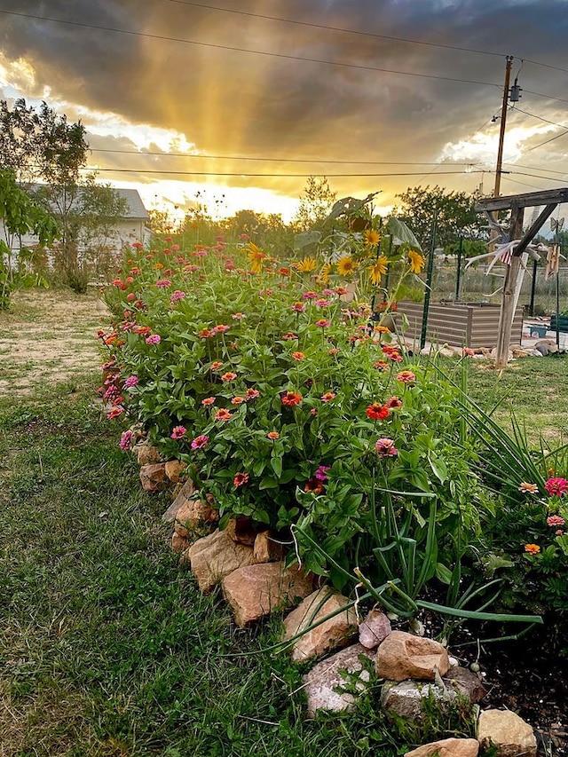 yard at dusk featuring a garden