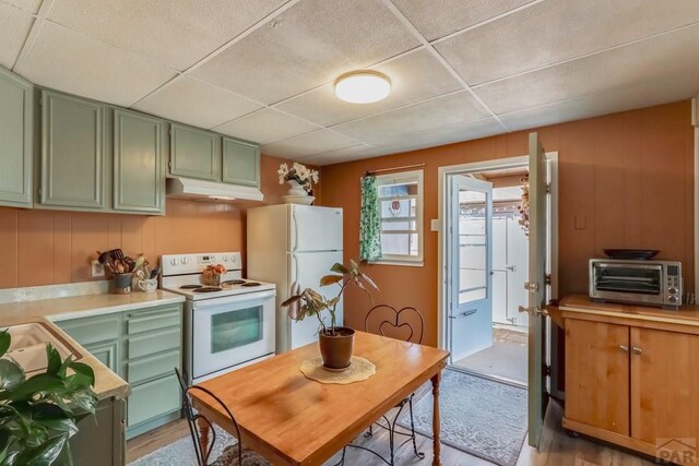 kitchen featuring a paneled ceiling, a toaster, under cabinet range hood, white appliances, and green cabinetry