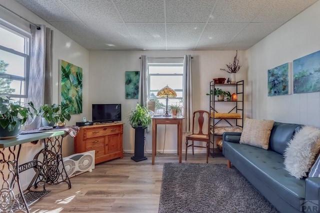 living area featuring a paneled ceiling, a healthy amount of sunlight, and light wood-style flooring