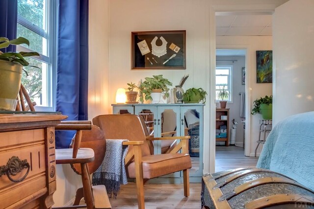 living area featuring plenty of natural light and light wood-style flooring