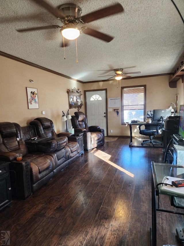 living room with ornamental molding, dark wood-style flooring, and a textured ceiling