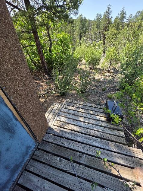 480 Kevin Dr, Cotopaxi, CO 81223 - photo 6