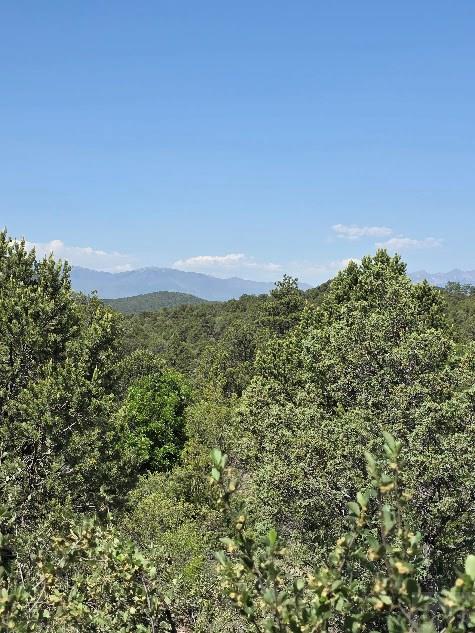 480 Kevin Dr, Cotopaxi, CO 81223 - photo 5