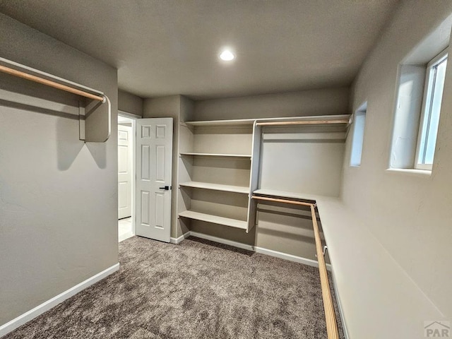 walk in closet with carpet